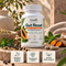 Runwell™ Papaya Seeds – The Complete Gut Reset Formula